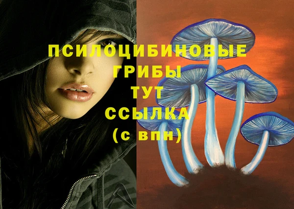 бошки Краснослободск
