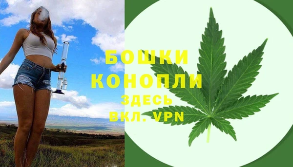 соль ск Ладушкин